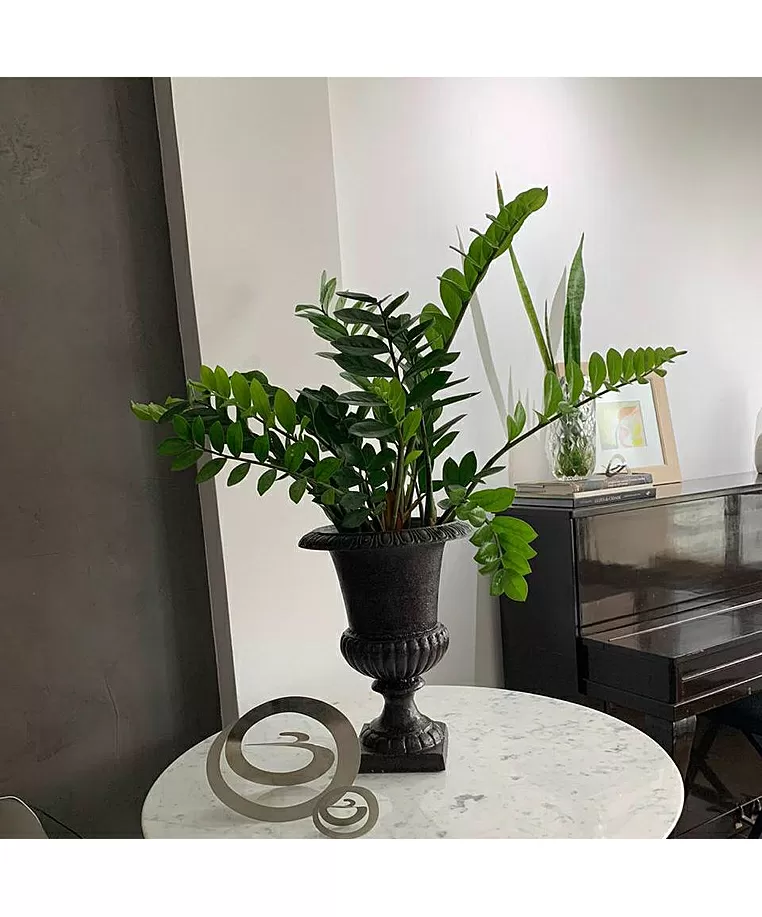 imagem de  Jarro Leblon em Ferro Fundido 37cm VF112 Design Clássico e Decorativo