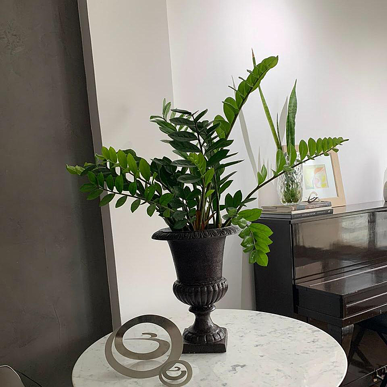 imagem do produto  Jarro Leblon em Ferro Fundido 37cm VF112 Design Cl�ssico e Decorativo