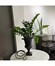 imagem do produto  Jarro Leblon em Ferro Fundido 37cm VF112 Design Cl�ssico e Decorativo