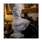 imagem do produto Busto Apollo Belvedere M�rmore Branco 80cm - BMP028