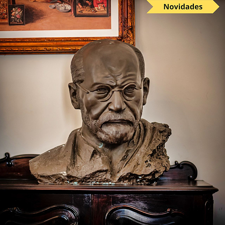 imagem do produto Busto de Bronze Sigmund Freud 60cm BBZ077 Escultura Art�stica Personalidade Hist�rica 