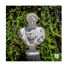 imagem do produto Busto Napole�o Bonaparte com Coroa de Louros em M�rmore Branco 72cm BMP070 Cl�ssica