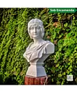 imagem do produto Busto Sibylle em M�rmore Branco 64cm BMP071 Eleg�ncia Cl�ssica