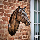 imagem do produto Cabe�a de Cavalo em Bronze 62cm VRBZ330 Eleg�ncia e Express�o