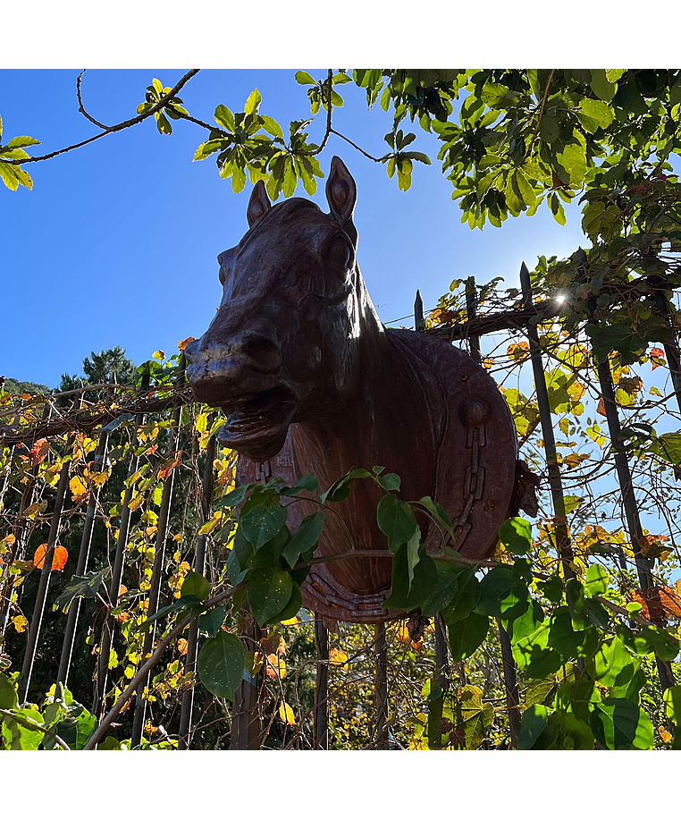 imagem do produto Cabe�a de Cavalo Jockey 73cm - VRF271D