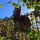 imagem do produto Cabe�a de Cavalo Jockey 73cm - VRF271D