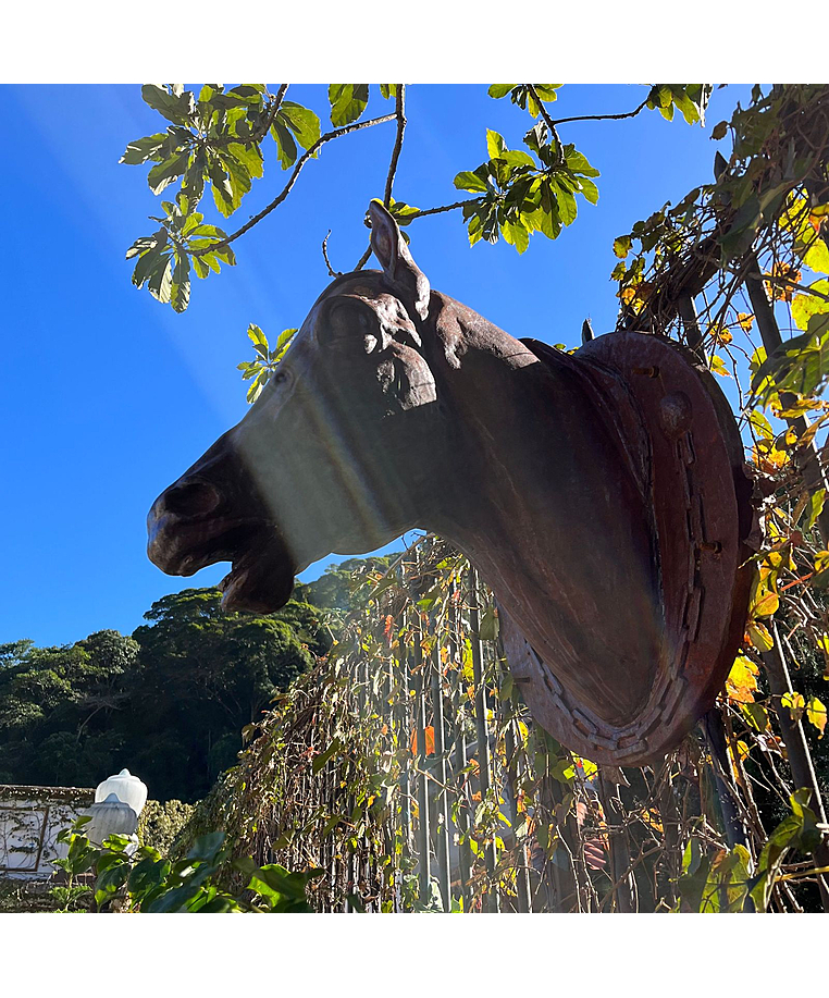 imagem do produto Cabe�a de Cavalo Jockey 73cm - VRF271D