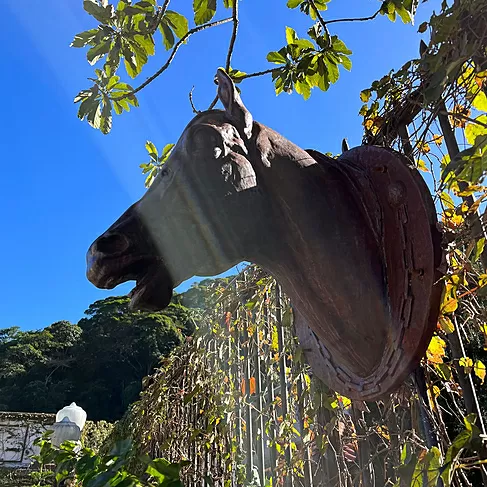 imagem de Cabeça de Cavalo Jockey em Ferro Fundido 73cm VRF271D Para Haras