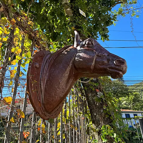 imagem de Cabeça de Cavalo Jockey em Ferro Fundido 73cm VRF271E Para Haras
