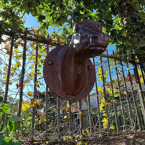 imagem de Cabeça de Cavalo Jockey em Ferro Fundido 73cm VRF271E Para Haras