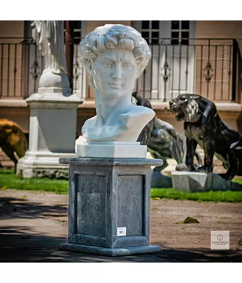 imagem de Cabeça de Davi 70cm - EMP611