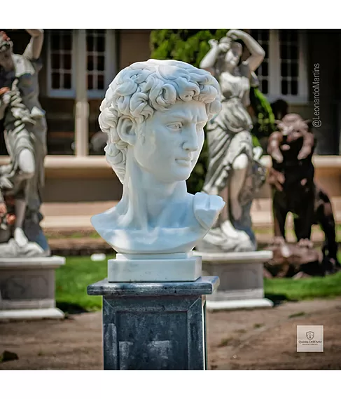 imagem de Cabeça de Davi 70cm - EMP611