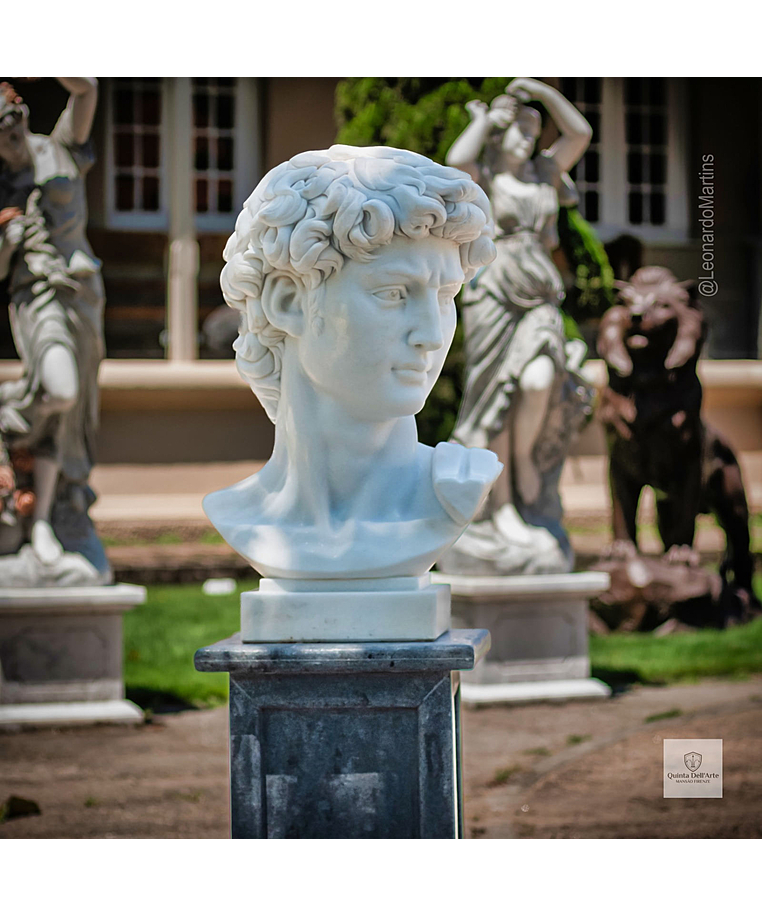 imagem do produto Cabe�a de Davi 70cm - EMP611