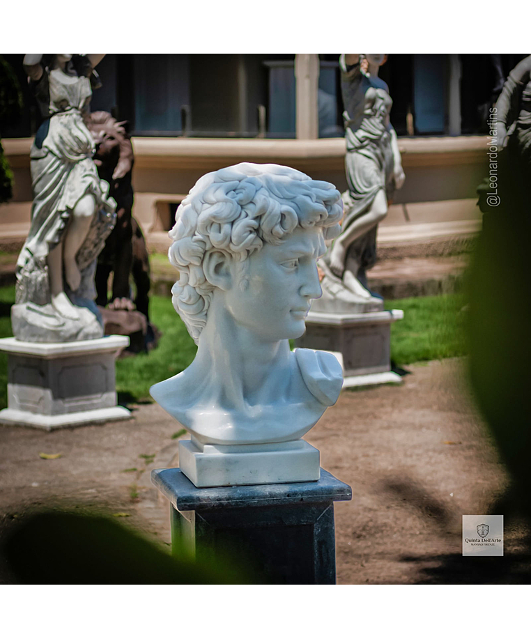 imagem do produto Cabe�a de Davi 70cm - EMP611