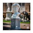 imagem do produto Cabe�a de Davi 70cm - EMP611