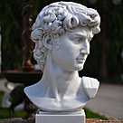 imagem do produto Cabe�a de Davi 70cm - EMP611