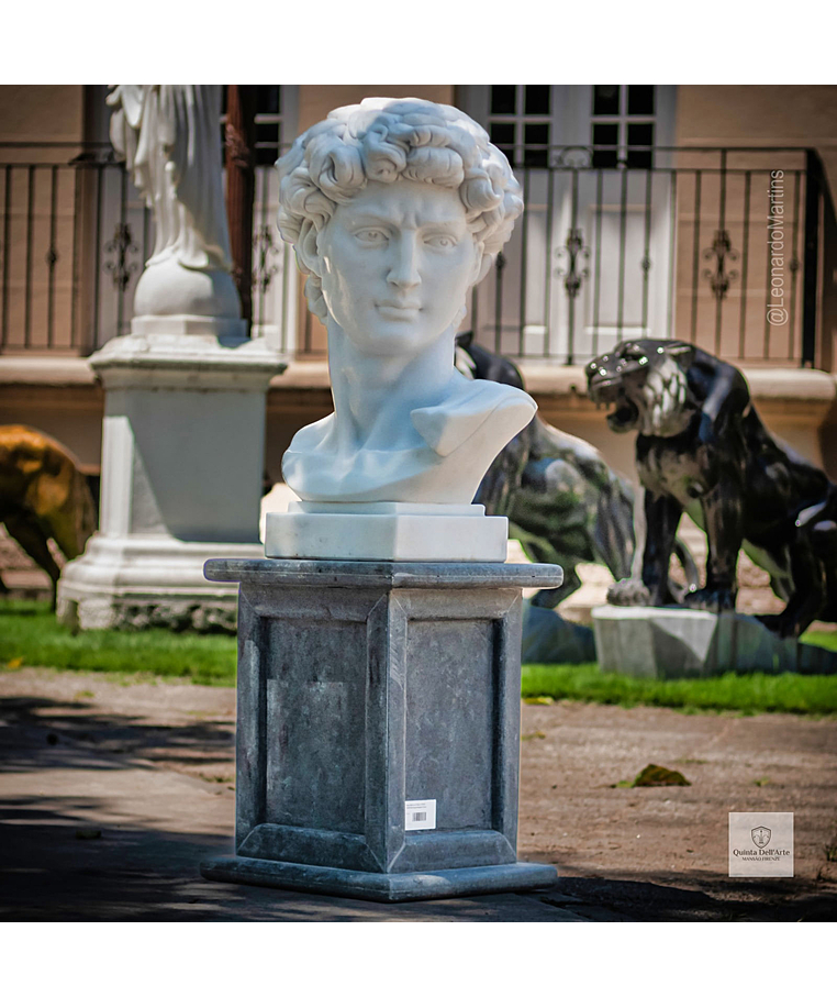 imagem do produto Cabe�a de Davi 70cm - EMP611