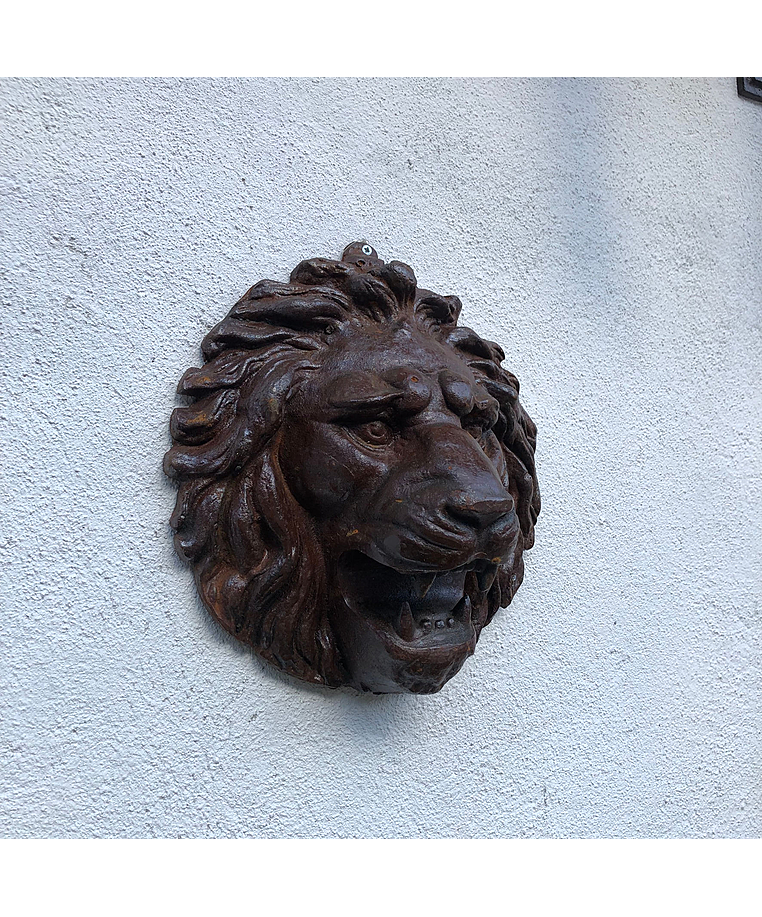 imagem do produto Cara de Le�o Ferro 30cm - VRF064