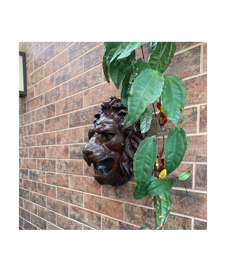 imagem do produto Cara de Le�o Ferro 30cm - VRF064