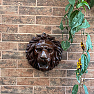 imagem do produto Cara de Le�o Ferro 30cm - VRF064