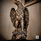 imagem do produto Escultura �guia Real em Bronze 60cm EBZ751 For�a e Eleg�ncia Natural