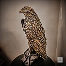 imagem do produto Escultura �guia Real em Bronze 60cm EBZ751 For�a e Eleg�ncia Natural