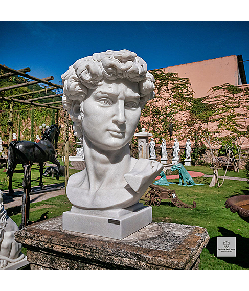 imagem de Escultura Cabe�a do Davi 100cm - EMP599