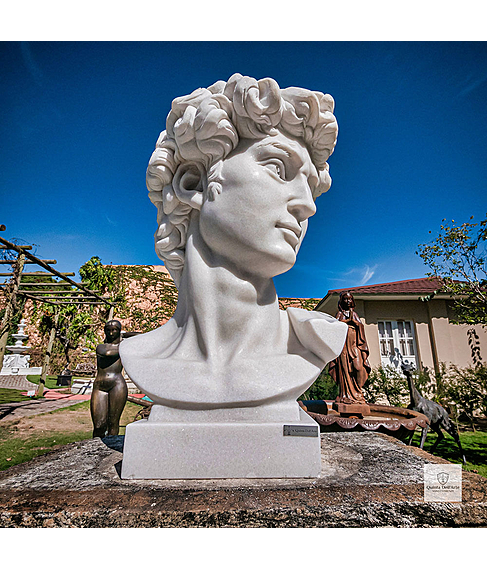 imagem de Escultura Cabe�a do Davi 100cm - EMP599