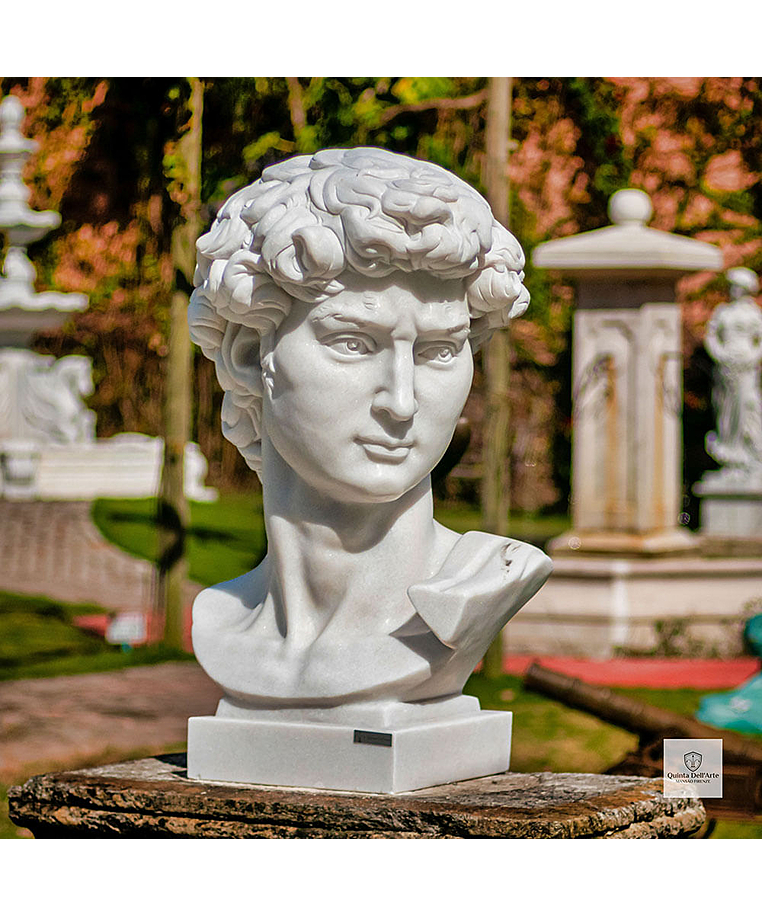 imagem do produto Escultura Cabe�a do Davi 100cm - EMP599