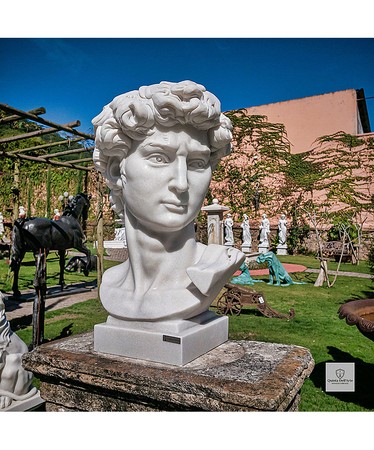 imagem do produto Escultura Cabe�a do Davi 100cm - EMP599