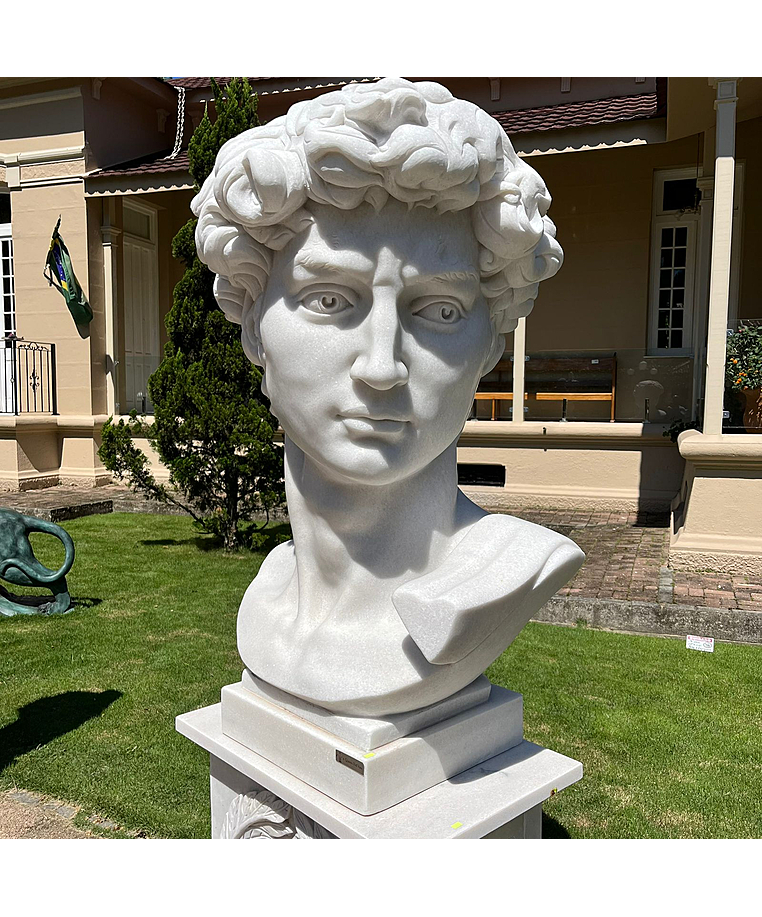 imagem do produto Escultura Cabe�a do Davi 120cm - EMP555