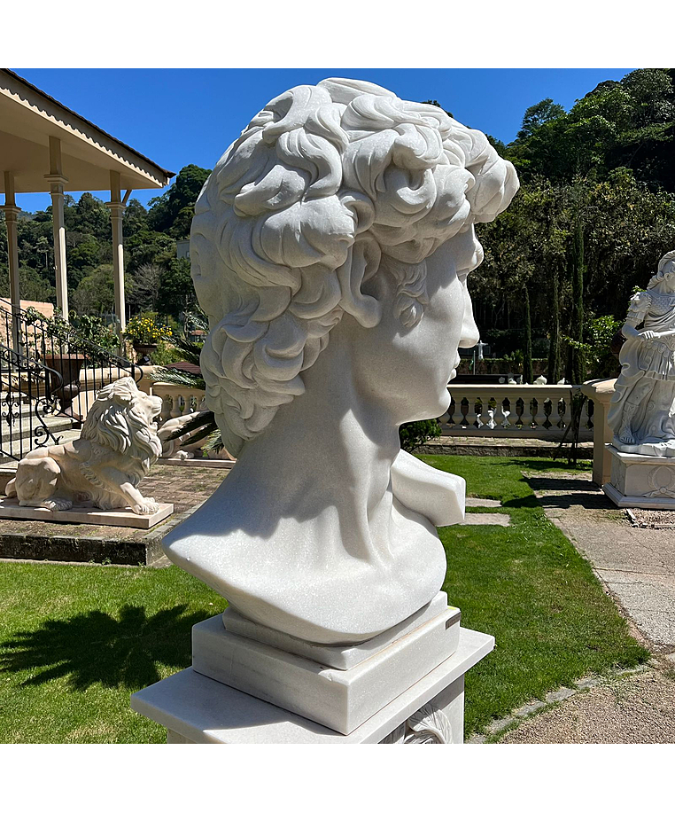 imagem do produto Escultura Cabe�a do Davi 120cm - EMP555