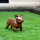 imagem do produto Escultura Cachorro Bulldog Franc�s em Ferro Fundido 34cm VRF268 Charme e Estilo