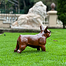 imagem do produto Escultura Cachorro Bulldog Franc�s em Ferro Fundido 34cm VRF268