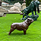 imagem do produto Escultura Cachorro Bulldog Ingl�s em Ferro Fundido 54cm VRF249 Estilo e Personalidade