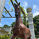 imagem do produto Escultura Cavalo em Bronze 198cm - EBZ603 Destaque para Haras e Ambientes R�sticos