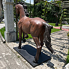 imagem do produto Escultura Cavalo em Bronze 198cm - EBZ603 Destaque para Haras e Ambientes R�sticos