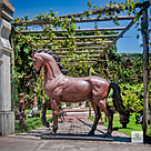 imagem do produto Escultura Cavalo em Bronze 198cm - EBZ603 Destaque para Haras e Ambientes R�sticos