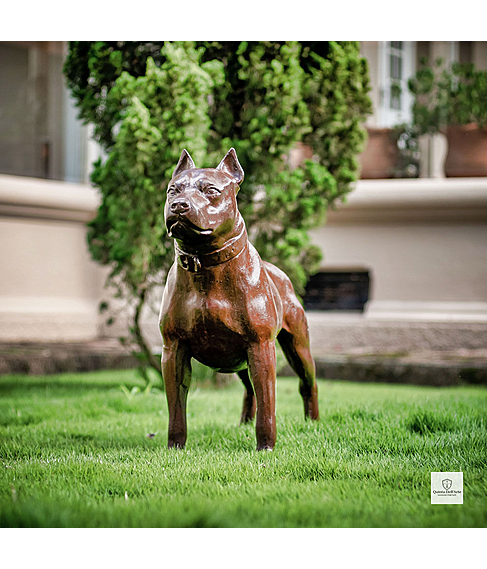 imagem de Escultura de Cachorro Pitbull 68cm - VRF248