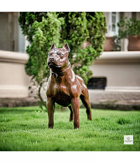 imagem de Escultura de Cachorro Pitbull 68cm - VRF248