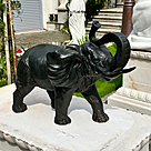 imagem do produto Escultura de Elefante em Bronze 45x62 EBZ557 For�a e Sofistica��o