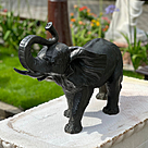 imagem do produto Escultura de Elefante em Bronze 45x62 EBZ557 For�a e Sofistica��o