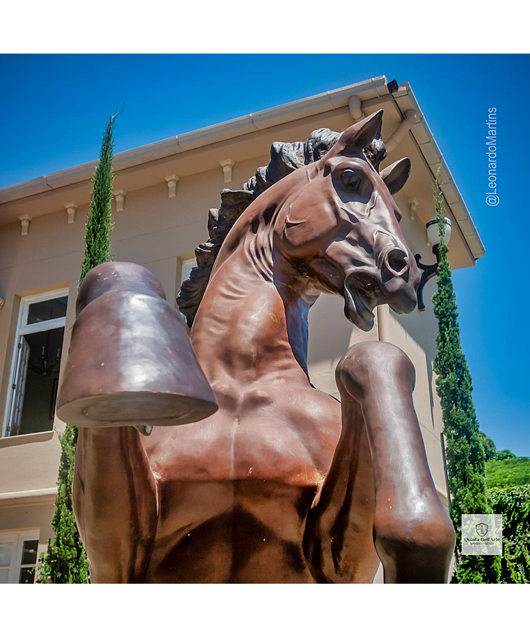 imagem do produto Escultura em Bronze Cavalo Bardigiano 300cm VRBZ350 Impon�ncia Monumental