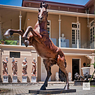 imagem do produto Escultura em Bronze Cavalo Bardigiano 300cm VRBZ350 Impon�ncia Monumental