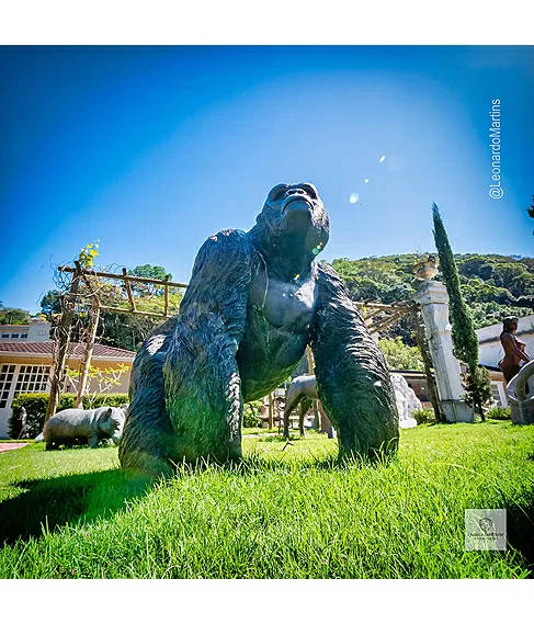 imagem de Escultura Gorila Alfa em Bronze 85cm - EBZ750 Peça Marcante