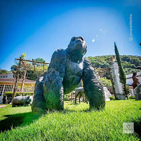imagem de Escultura Gorila Alfa em Bronze 85cm - EBZ750 Peça Marcante