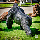 imagem do produto Escultura Gorila Alfa em Bronze 85cm - EBZ750 Pe�a Marcante