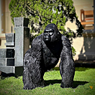 imagem do produto Escultura Gorila Alfa em Bronze 85cm - EBZ750 Pe�a Marcante