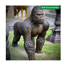 imagem do produto Escultura Gorila de Bronze Andando 105cm - EBZ710 Destaque no Paisagismo