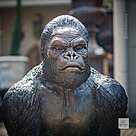 imagem do produto Escultura Gorila de Bronze Andando 105cm - EBZ710 Destaque no Paisagismo